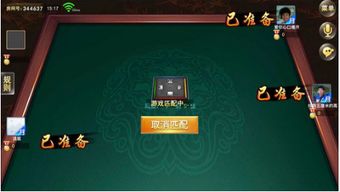 雅趣游戏下载,探索雅趣游戏,下载你的休闲时光(图9) 雅趣游戏下载,探索雅趣游戏,下载你的休闲时光(图9)