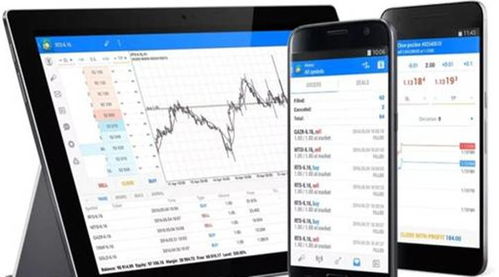 中国最大的拍卖平台app,便捷高效的艺术品交易新体验(图12) 中国最大的拍卖平台app,便捷高效的艺术品交易新体验(图12)