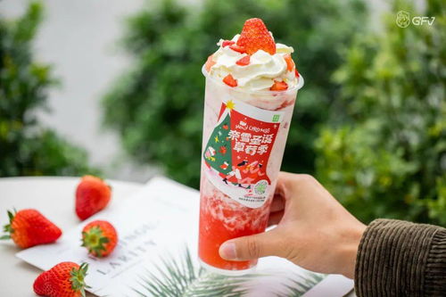 雪杯游戏,冬季里的欢乐竞技场(图3)