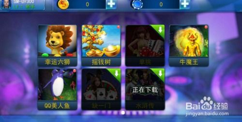 星力正版游戏平台下载,星力正版游戏平台下载指南(图11) 星力正版游戏平台下载,星力正版游戏平台下载指南(图11)