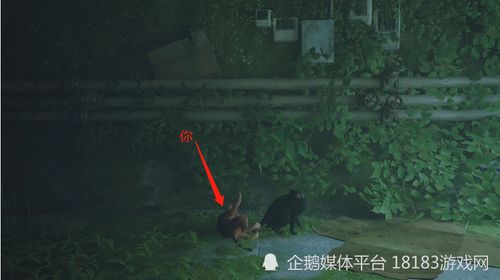加白游戏,揭秘如何加入公会开启收益新篇章(图5) 加白游戏,揭秘如何加入公会开启收益新篇章(图5)