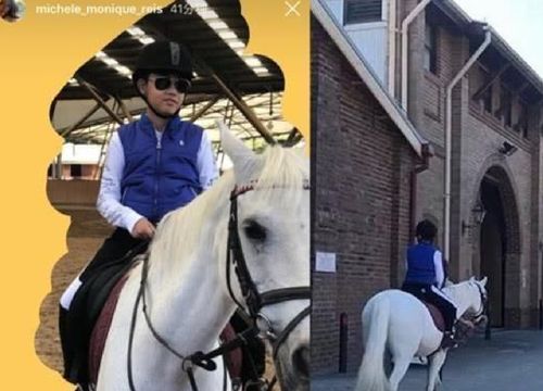 继承长相游戏,探索家族基因的趣味之旅(图2) 继承长相游戏,探索家族基因的趣味之旅(图2)