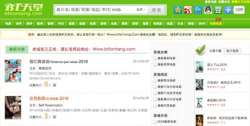 种子猫 (图1) 种子猫 (图1)
