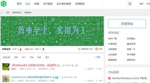 种子猫 (图3) 种子猫 (图3)