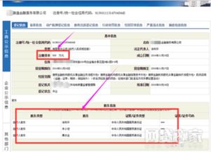 全国社保联网查询平台 (图1)