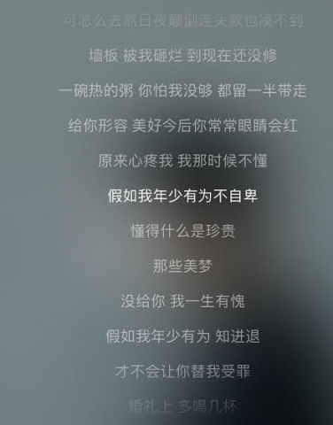 歌词获取器 (图1)