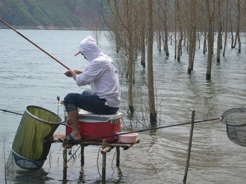 野钓游戏大全,尽在指尖流连(图1)