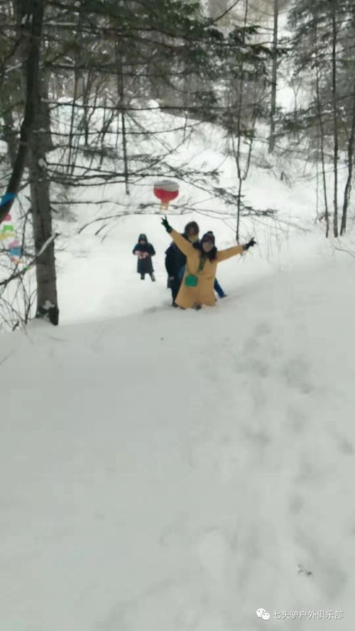 雪乡行游戏,新手玩家的欢乐惊悚之旅(图2)