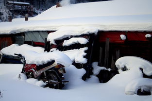 雪乡行游戏,新手玩家的欢乐惊悚之旅(图3)