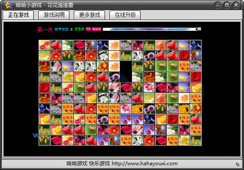 单机游戏花花连连看,缤纷花海中的连连挑战(图2)