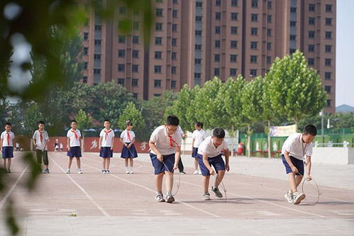 学生操场游戏活动,操场游戏活动精彩回顾”(图3)