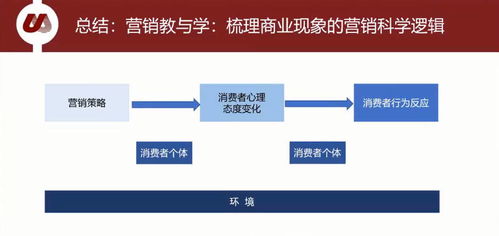 学营销游戏,创新教学策略与互动体验探索(图2)