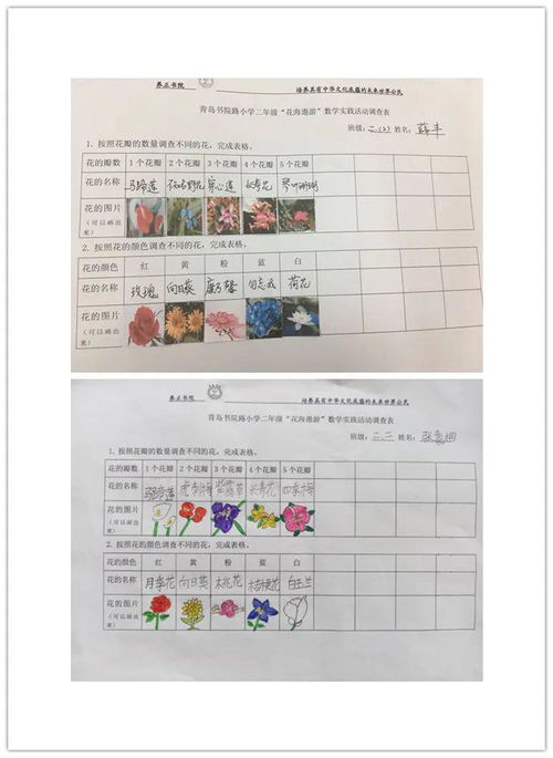 数学统计游戏,探索数学统计游戏的趣味与智慧(图2)