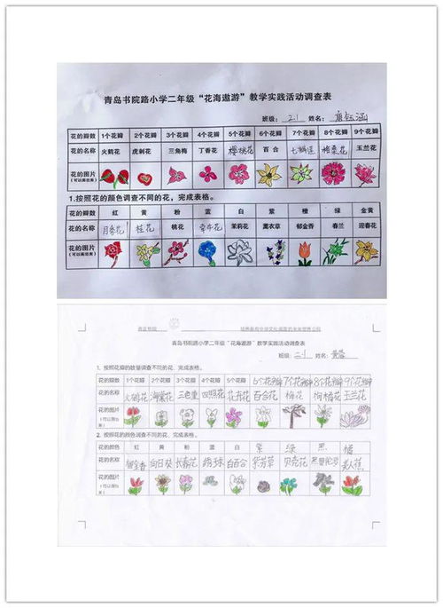 数学统计游戏,探索数学统计游戏的趣味与智慧(图3)