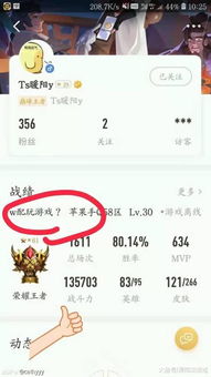 暖游戏id,探寻虚拟世界的温暖足迹(图2)