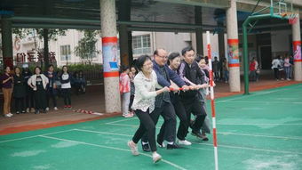 圆形接力游戏,趣味与竞技并存的团队协作挑战”(图2)