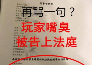 游戏骂人被告,案例分析及启示(图1)