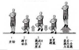 半蹲跳游戏,提升弹跳力与体能的跳跃训练游戏(图2)