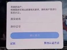 登记注册身份验证 (图1)