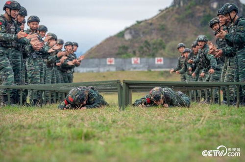 武警任务游戏,趣味游戏助力提升战斗力”(图1)