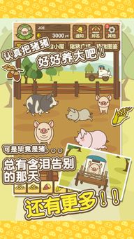 苹果养猪游戏,苹果版养猪游戏体验记(图2)