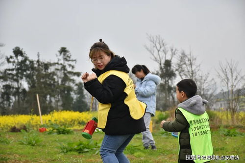 植树人游戏,共建美好家园”(图1)