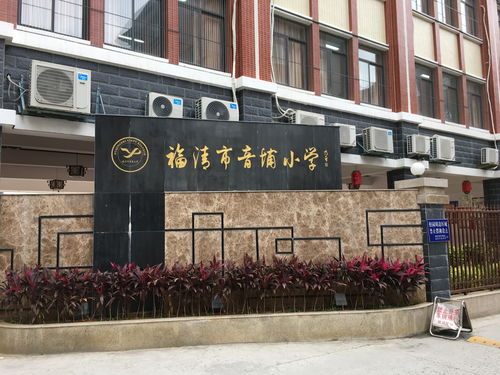 福清游戏室,畅享激情——福清大玩家超乐场体验之旅(图3)