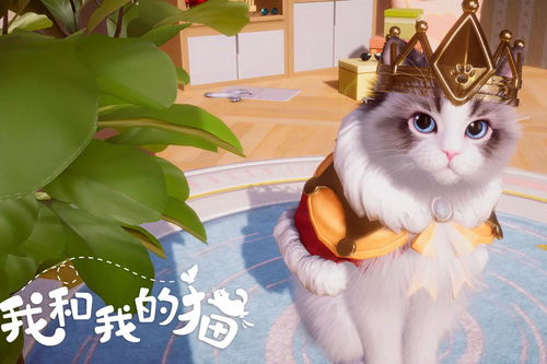 游戏猫猫猫,萌宠乐园的奇幻冒险之旅(图1)