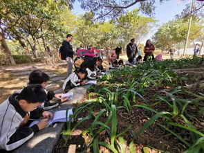 湿地植物游戏,热带植物秘境与狩猎奇遇(图1)