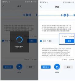 打游戏录音,游戏录音教程与技巧解析(图3)