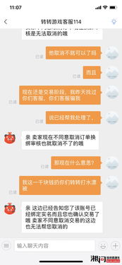 游戏客服敷衍,游戏玩家遭遇的无奈与反思(图3)