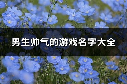 游戏名落花,探寻游戏世界的诗意与哀愁(图2)