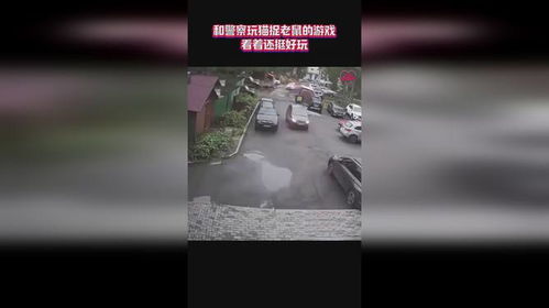 老鼠警察游戏,老鼠警察的智慧逃亡之旅(图1) 老鼠警察游戏,老鼠警察的智慧逃亡之旅(图1)