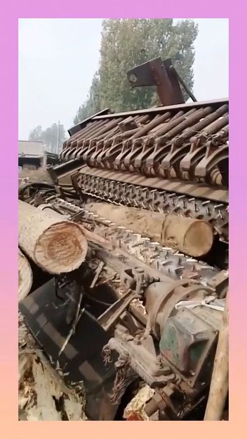 游戏剥树皮,剥树皮背后的神秘世界探险(图1) 游戏剥树皮,剥树皮背后的神秘世界探险(图1)