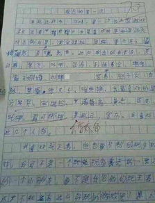 字母游戏作文,拼音字母游戏中的欢乐与成长(图2)