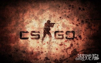 csgo蹲游戏,成为战场精英(图1)