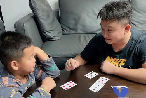 慧数游戏,探索数字世界的无限乐趣(图3)