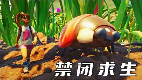 下蛋游戏名称,下蛋游戏中的趣味孵化之旅(图2) 下蛋游戏名称,下蛋游戏中的趣味孵化之旅(图2)