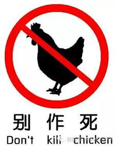 人杀鸡游戏,一场紧张刺激的生存游戏对决(图1)