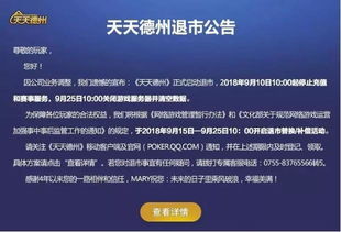游戏退市补偿,玩家权益保障与行业规范实践(图2)