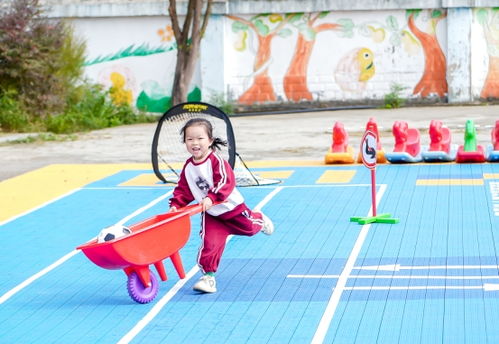 游戏幼儿体育,幼儿体育游戏促进身心和谐发展(图1)