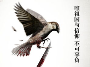 游戏扣麻雀,扣麻雀游戏中的自然智慧与童年乐趣(图3) 游戏扣麻雀,扣麻雀游戏中的自然智慧与童年乐趣(图3)