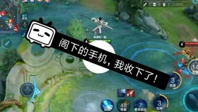 剪衣游戏,开启美发创意之旅(图1) 剪衣游戏,开启美发创意之旅(图1)