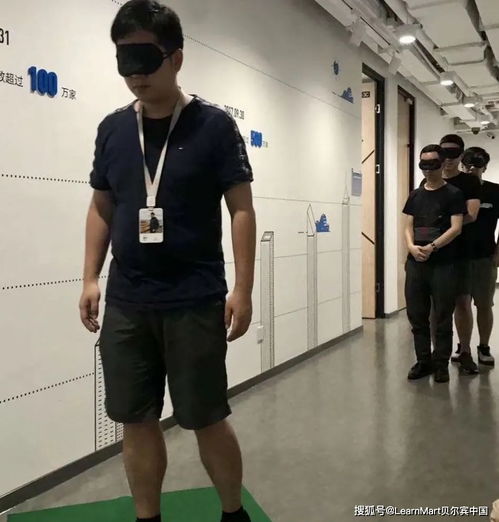 贝尔宾游戏,解锁团队协作潜能的钥匙(图1) 贝尔宾游戏,解锁团队协作潜能的钥匙(图1)