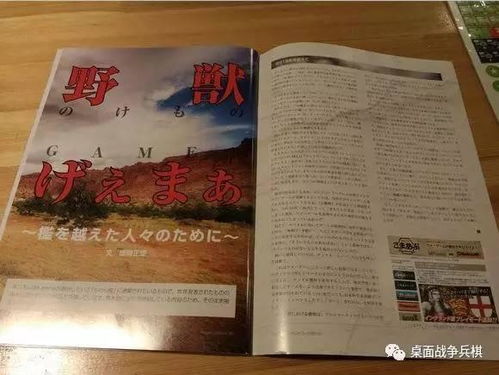 党卫军游戏,二战阴影下的铁血传奇(图3) 党卫军游戏,二战阴影下的铁血传奇(图3)