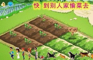 单机偷菜游戏,单机偷菜游戏体验攻略(图1) 单机偷菜游戏,单机偷菜游戏体验攻略(图1)