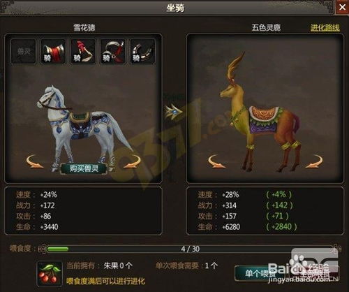 坐骑类游戏,坐骑类游戏全攻略(图3) 坐骑类游戏,坐骑类游戏全攻略(图3)