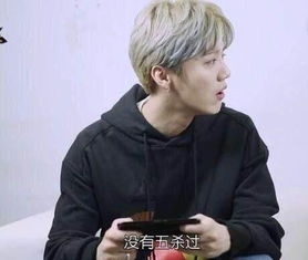 鹿晗喜欢什么游戏,探寻他的游戏世界(图2)