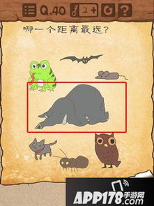 最囧游戏猫鱼,脑洞大开挑战(图2) 最囧游戏猫鱼,脑洞大开挑战(图2)