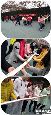 团队报数游戏,报数游戏深度解析(图1) 团队报数游戏,报数游戏深度解析(图1)